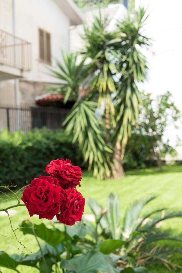 L'Oasi Di Giorgia Bed and Breakfast Cittadella del Capo Buitenkant foto