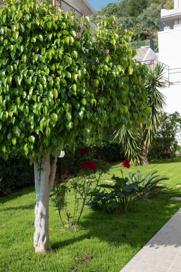 L'Oasi Di Giorgia Bed and Breakfast Cittadella del Capo Buitenkant foto